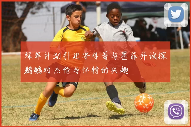 绿军计划引进字母哥与墨菲并试探鹈鹕对杰伦与怀特的兴趣